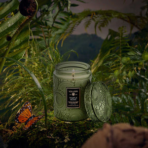 Voluspa- Temple Moss 5.5oz Small Jar Candle