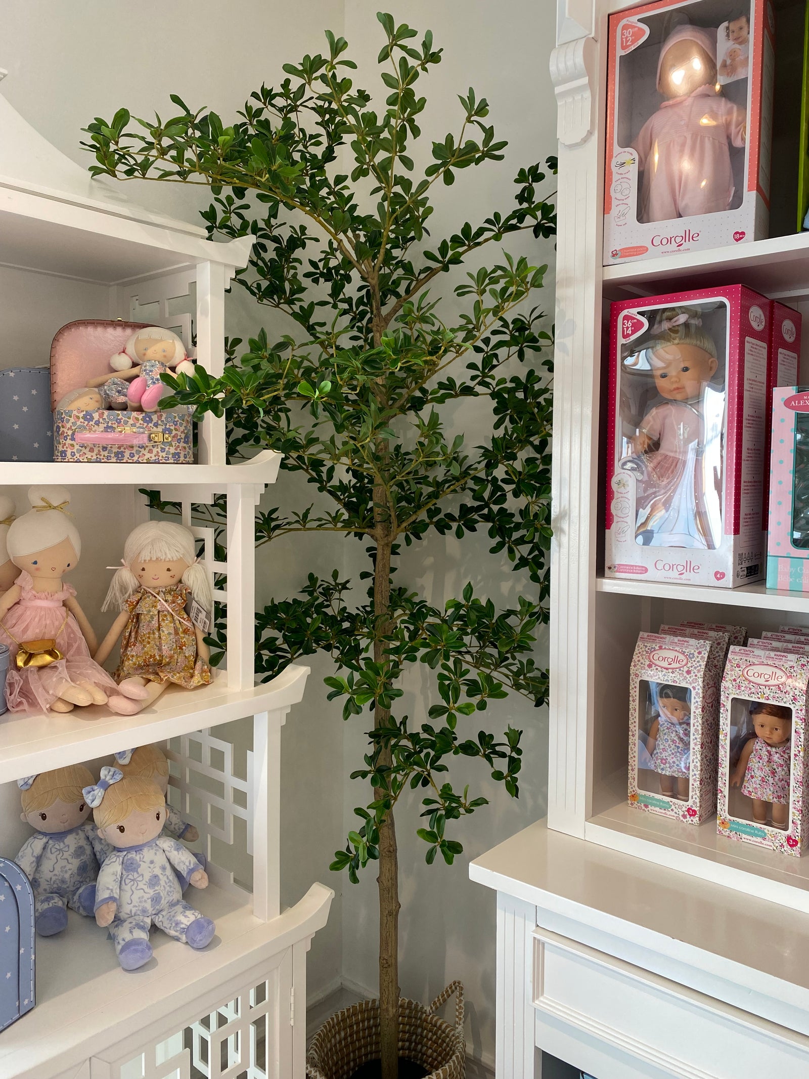 Replica Plants and Decor- 7'' Sady Lady Black Olive Tree