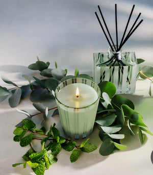 Nest- Wild Mint & Eucalyptus Classic Candle